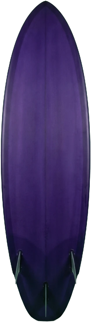 Reef, a hybrid measuring 6'0"